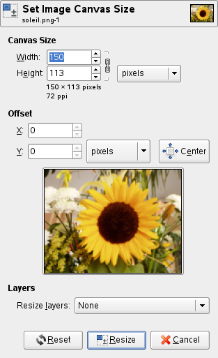 The Canvas Size dialog